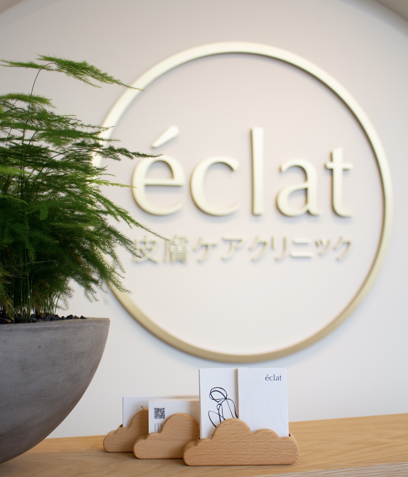 Éclat Skin Care Aesthetics Inc.
